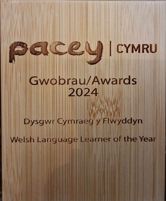 welsh language learner of the year awaard